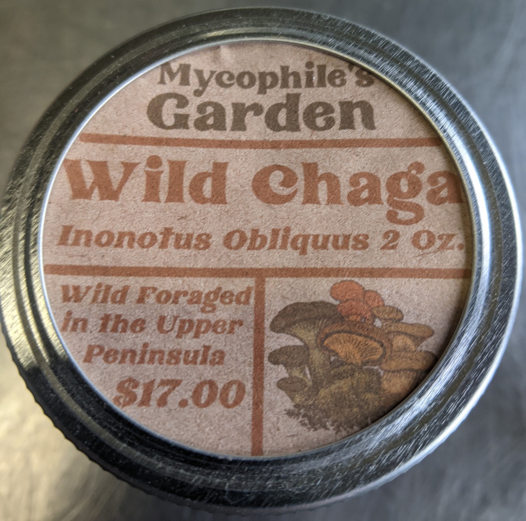 Chaga Fungus - Wild Foraged