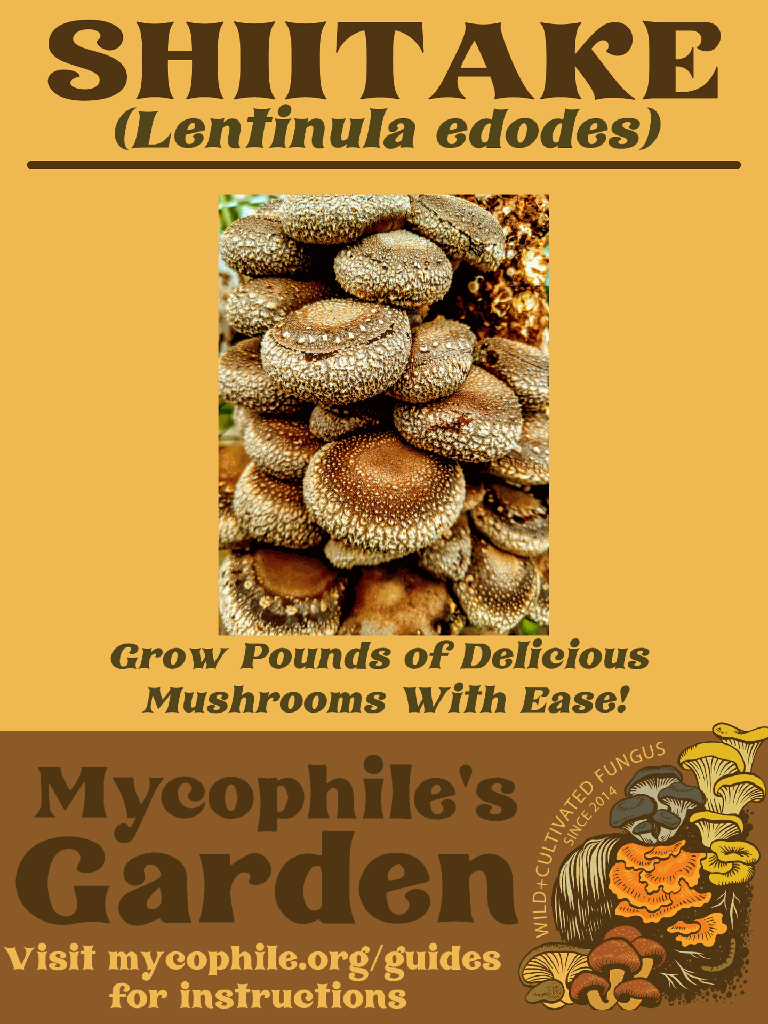 Grow Kit - Large Heirloom Shiitake