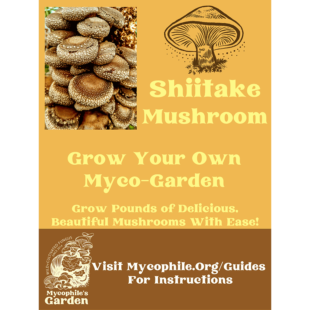 Grow Kit - Large Heirloom Shiitake