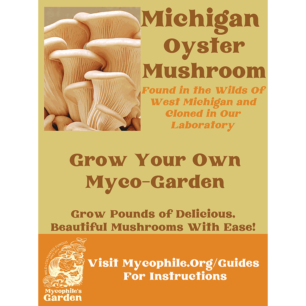 Grow Kit - Michigan Oyster Mushroom