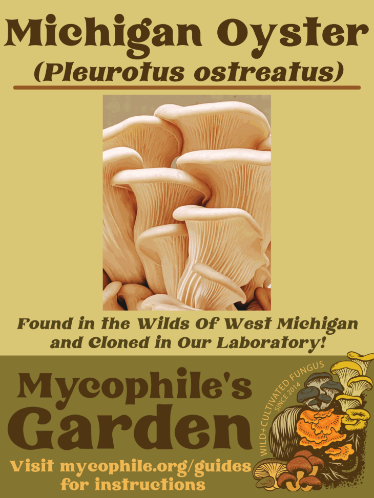 Grow Kit - Michigan Oyster Mushroom
