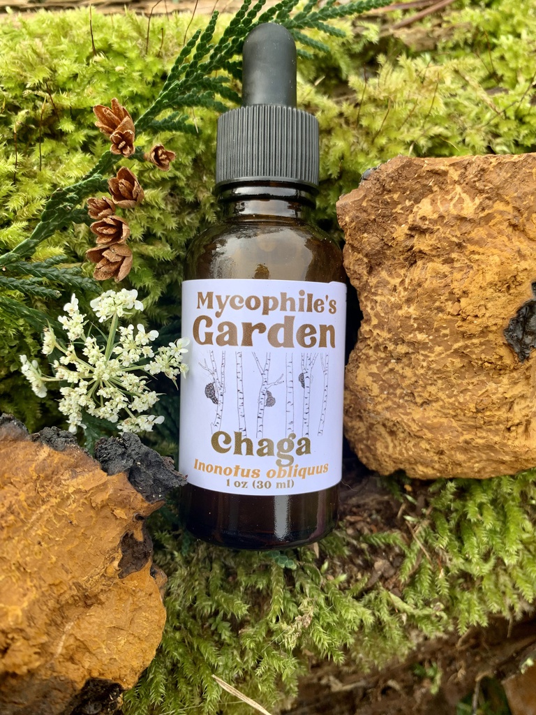 Tinctures - Chaga