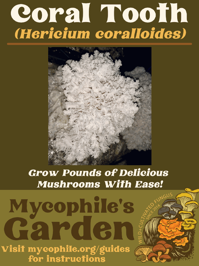 Grow Kit - Coral Tooth